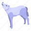 white, wolf, isometric 