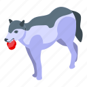 wolf, meat, isometric