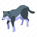 forest, wolf, isometric