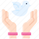 woman, celebrate, dove, pegion, freedom, hands