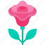 woman, celebrate, rose, flower, valentine 