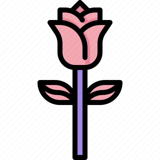 Rose, flower, blossom, nature, petals, botanical, flowers icon - Download on Iconfinder