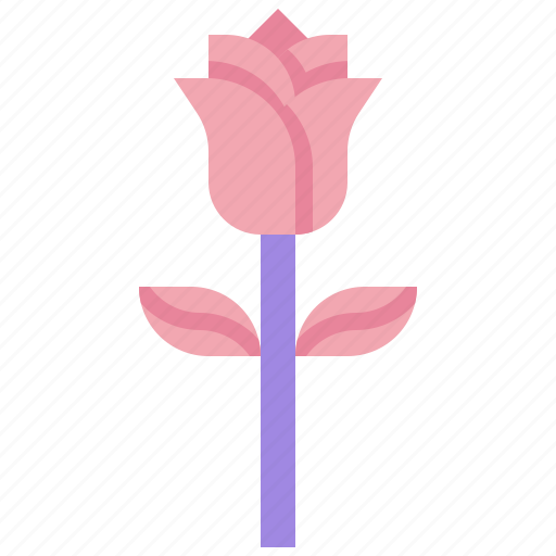 Rose, flower, blossom, nature, petals, botanical, plant icon - Download on Iconfinder