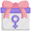 gift, womens day, commerce, female, feminism, gift box, femenine 
