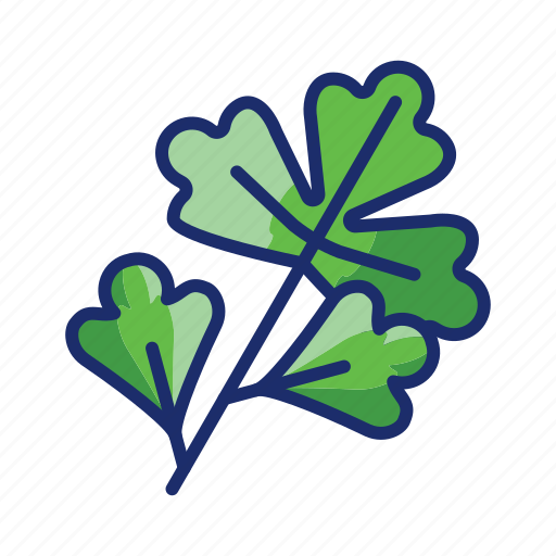 Coriander, herb, cilantro icon - Download on Iconfinder