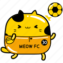 cute, cat, football, soccer, man, male, action, ball, competition