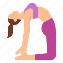 camel, exercise, pose, setu, ustrasana, yoga