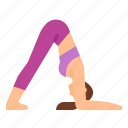 ardha, dolphin, exercise, mayurasana, pincha, pose, yoga