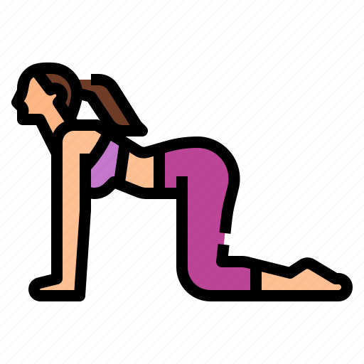 Bitilasana, cow, exercise, pose, yoga icon - Download on Iconfinder
