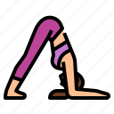 ardha, dolphin, exercise, mayurasana, pincha, pose, yoga