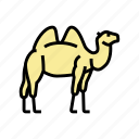 camel, animal, zoo, animals, birds