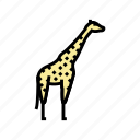 giraffe, animal, zoo, animals, birds