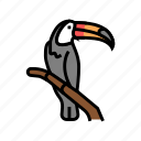 toucan, bird, zoo, animals, birds