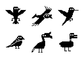 Animals - Birds