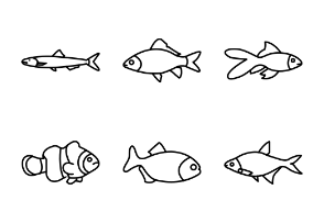 Collection of Fish