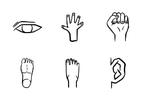 Doodle Hand Drawn Anatomy