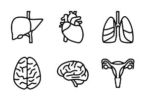 Human Organ (outline)