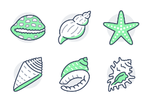 Seashells - Green